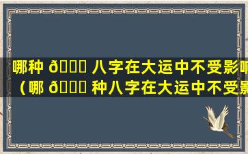 哪种 🐟 八字在大运中不受影响（哪 🐟 种八字在大运中不受影响女命）